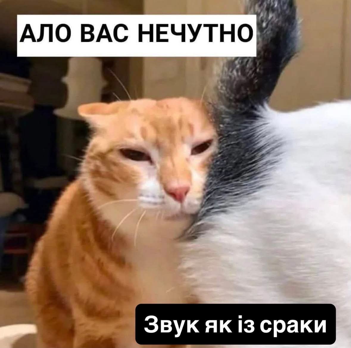 Мемы на все случаи жизни, которые пополнят твою мемную копилку - фото 925143