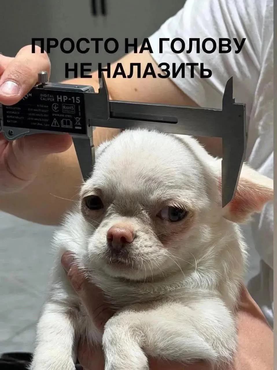 Мемы на все случаи жизни, которые пополнят твою мемную копилку - фото 925146