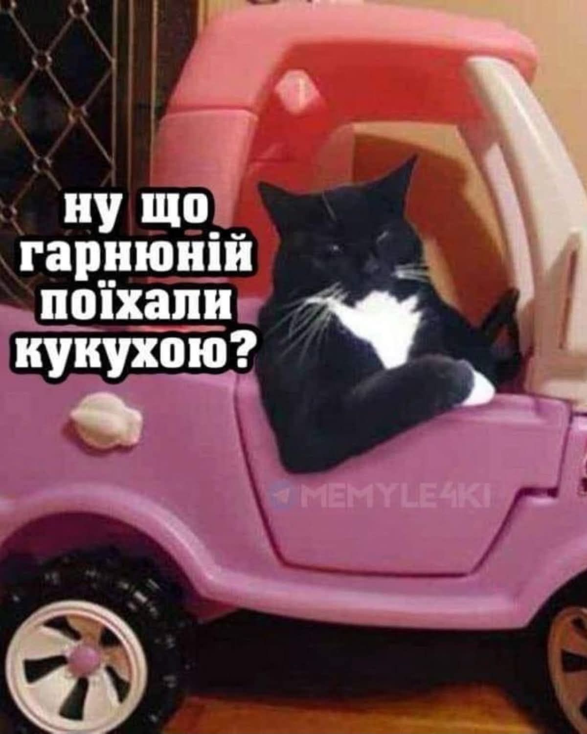 Мемы на все случаи жизни, которые пополнят твою мемную копилку - фото 925147
