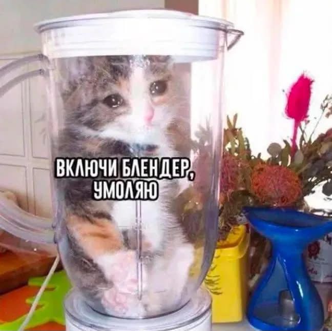 Мемы на все случаи жизни, которые пополнят твою мемную копилку - фото 925149