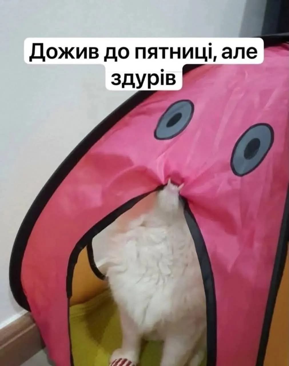 Мемы на все случаи жизни, которые пополнят твою мемную копилку - фото 925151
