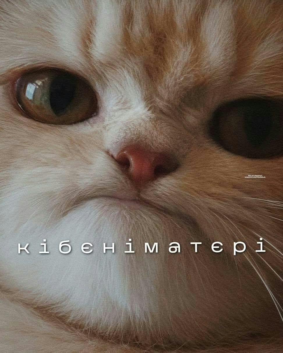 Мемы на все случаи жизни, которые пополнят твою мемную копилку - фото 925152