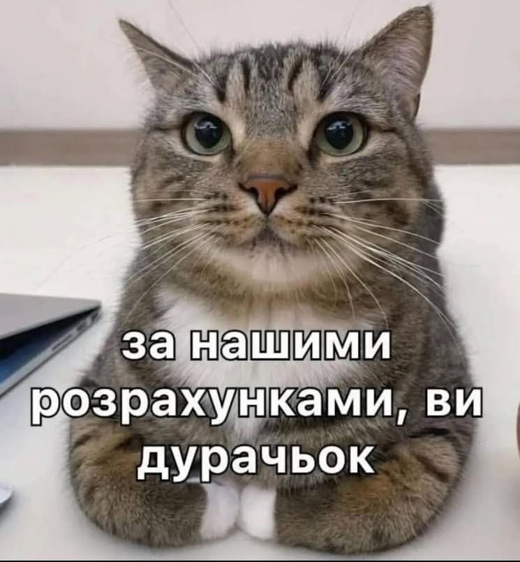 Мемы на все случаи жизни, которые пополнят твою мемную копилку - фото 925153