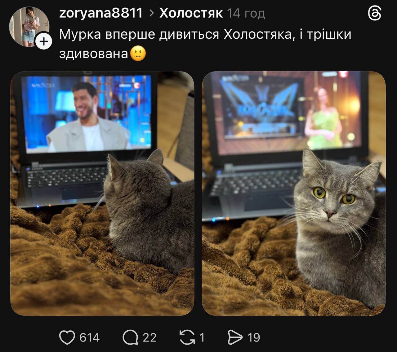 Холостяк-15 випуск 2 та реакція мережі - 925891 Холостяк-15 випуск 2 та реакція мережі - фото 925891