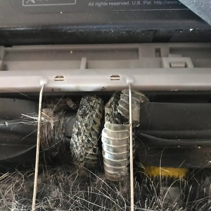 20 разів, коли люди побачили щось настільки дивне, що мусили це сфотографувати - фото 926305