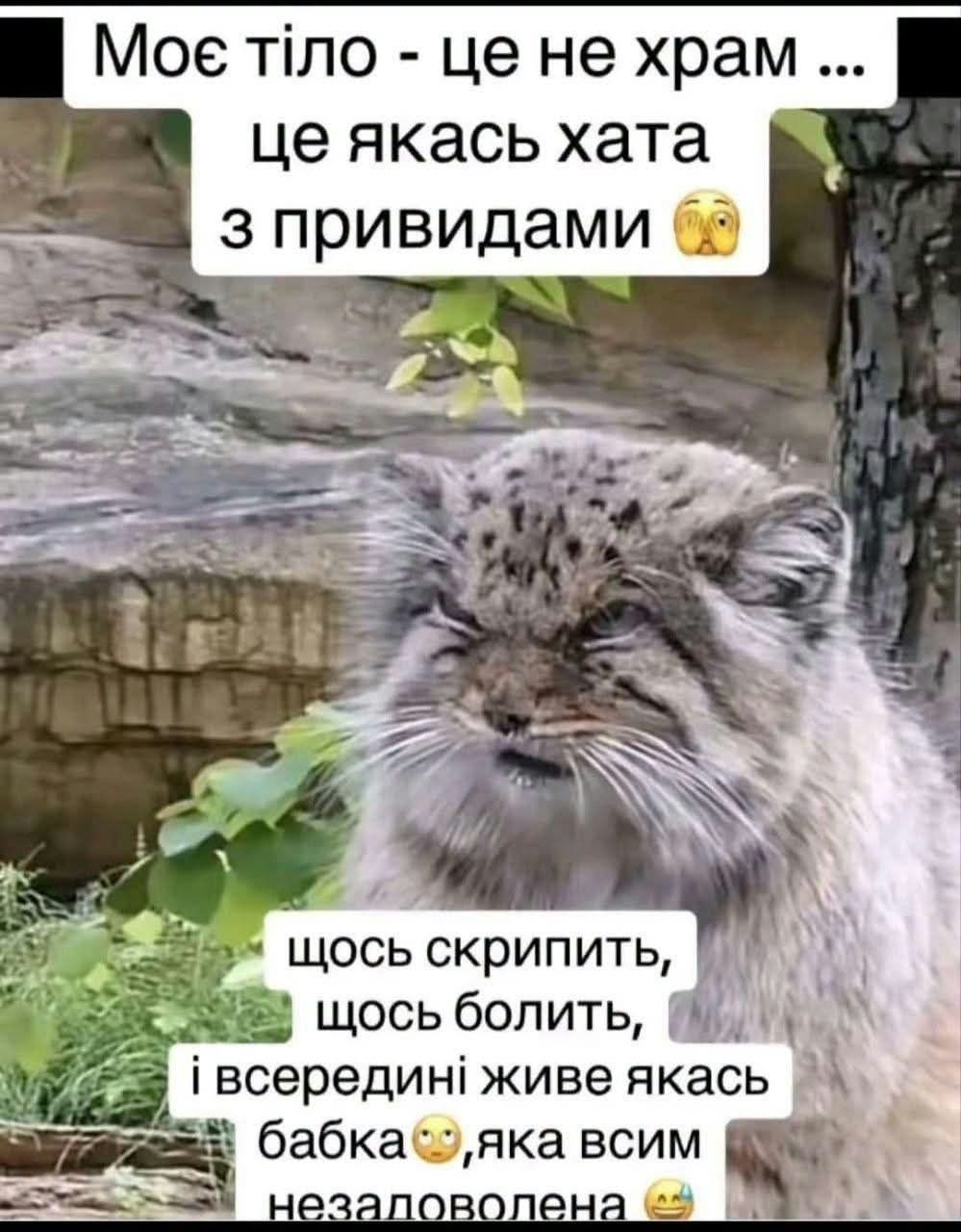 Смішні меми - 926973 Смішні меми - фото 926973