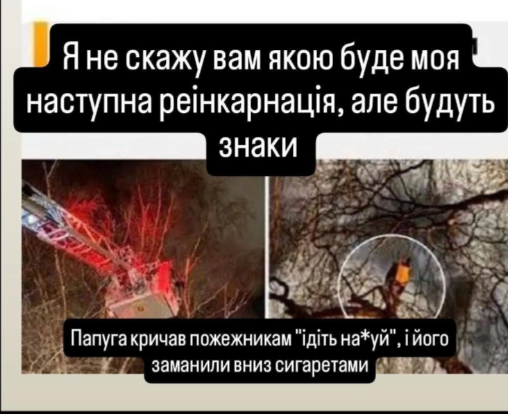 Смішні меми - 926982 Смішні меми - фото 926982