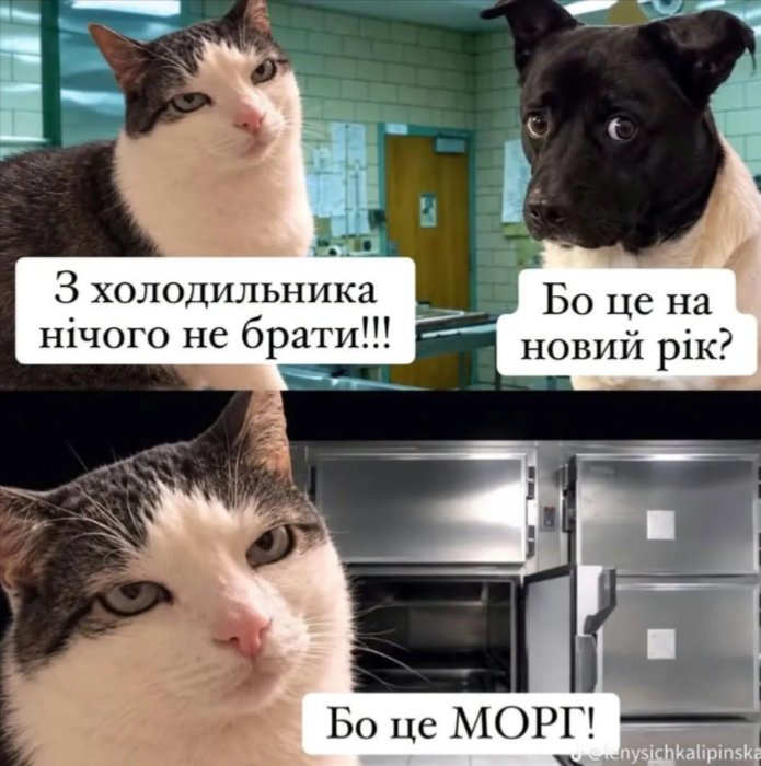 Смішні меми - 926984 Смішні меми - фото 926984