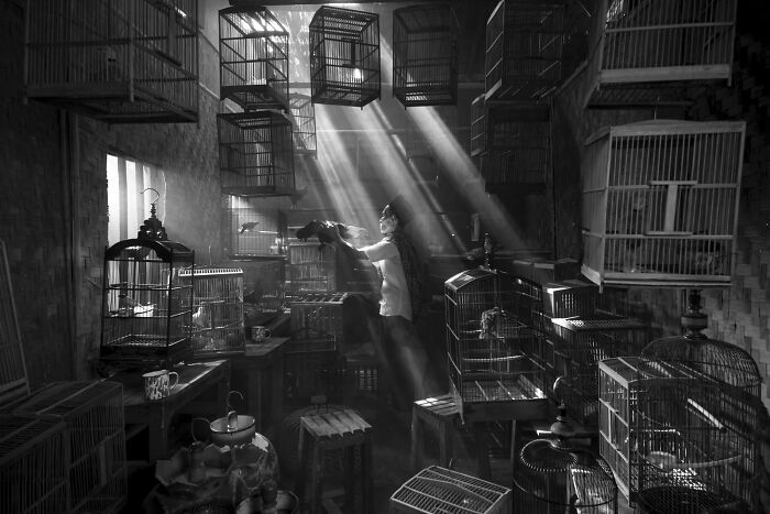 Світ у чорно-білих тонах: оголосили переможців фотоконкурсу Exposure One Awards 2026 - 928530 Світ у чорно-білих тонах: оголосили переможців фотоконкурсу Exposure One Awards 2026 - фото 928530