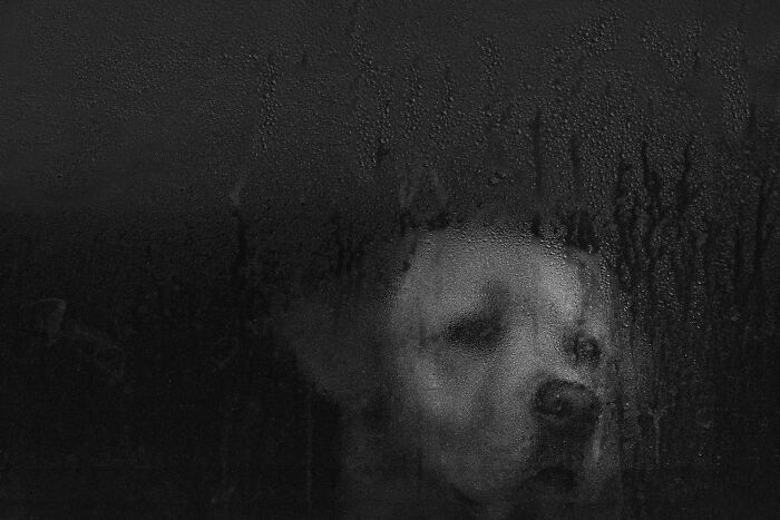 Світ у чорно-білих тонах: оголосили переможців фотоконкурсу Exposure One Awards 2026 - 928534 Світ у чорно-білих тонах: оголосили переможців фотоконкурсу Exposure One Awards 2026 - фото 928534