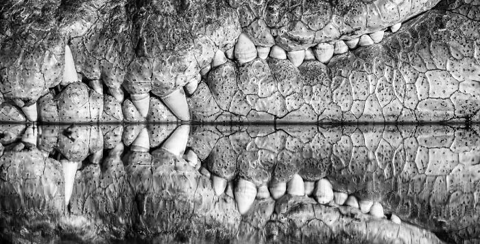Світ у чорно-білих тонах: оголосили переможців фотоконкурсу Exposure One Awards 2026 - 928549 Світ у чорно-білих тонах: оголосили переможців фотоконкурсу Exposure One Awards 2026 - фото 928549