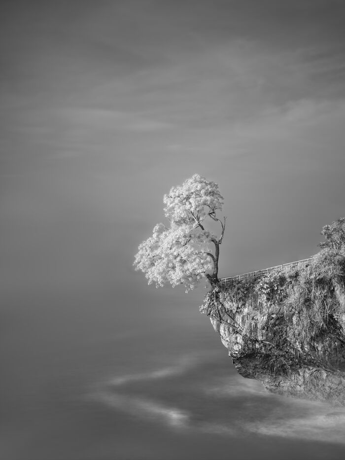 Світ у чорно-білих тонах: оголосили переможців фотоконкурсу Exposure One Awards 2026 - 928550 Світ у чорно-білих тонах: оголосили переможців фотоконкурсу Exposure One Awards 2026 - фото 928550